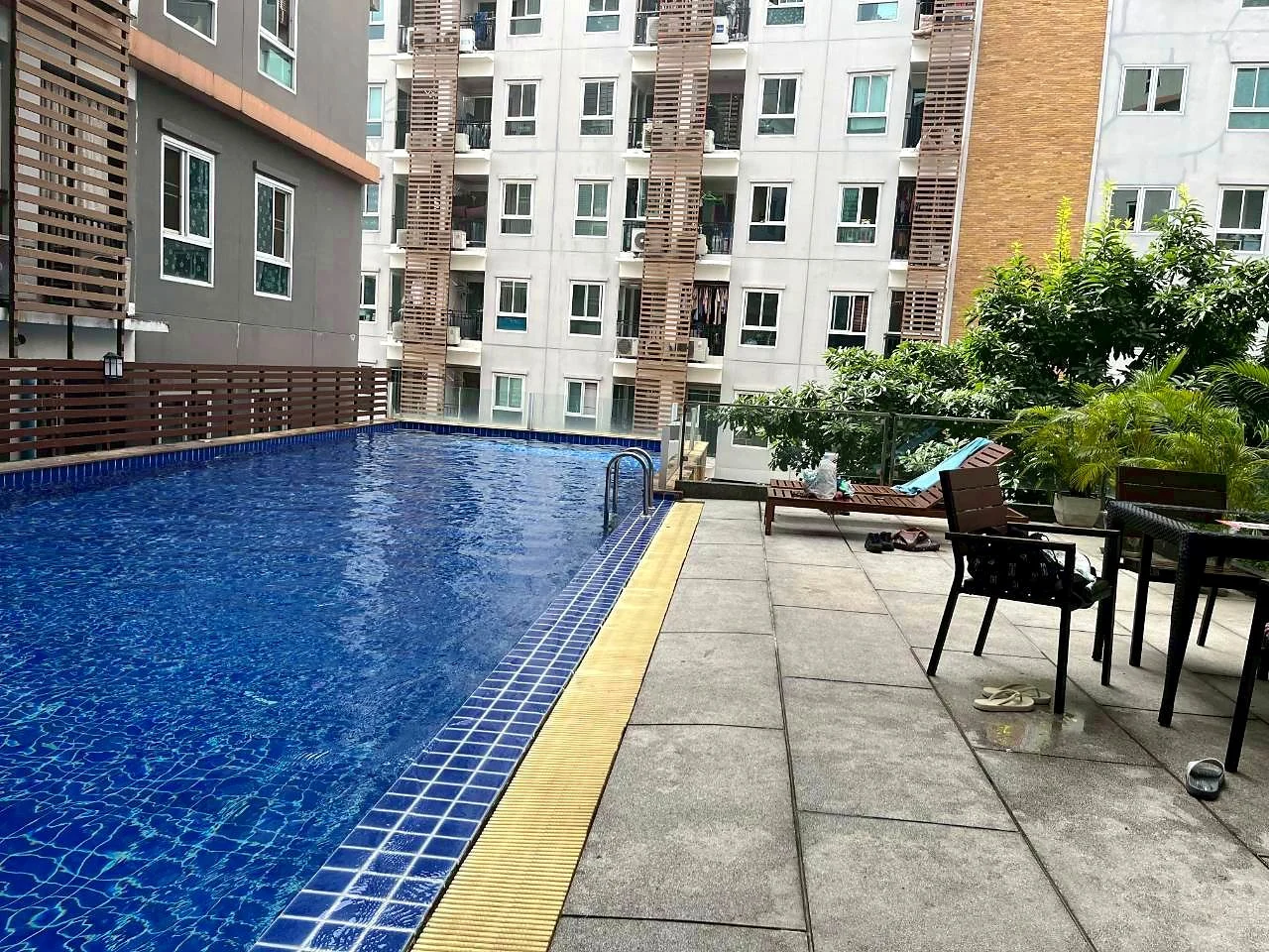 Shared swimming pool and terrace
