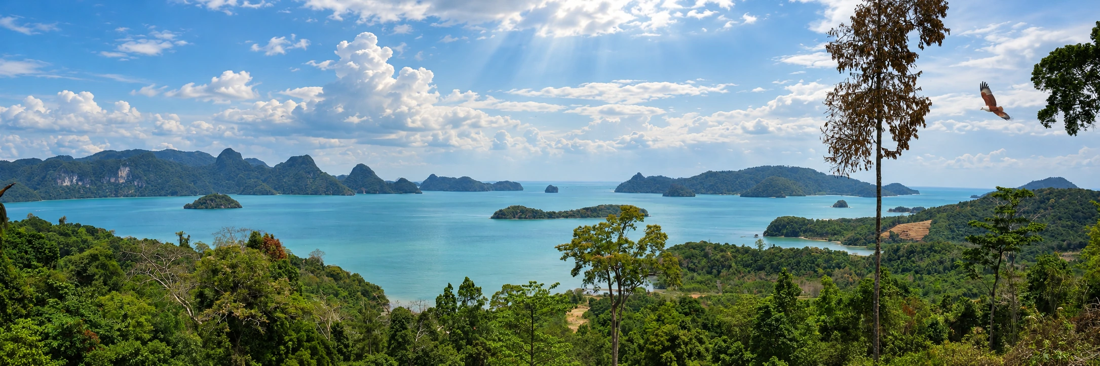 Panoramic south-facing view from Wang Hill