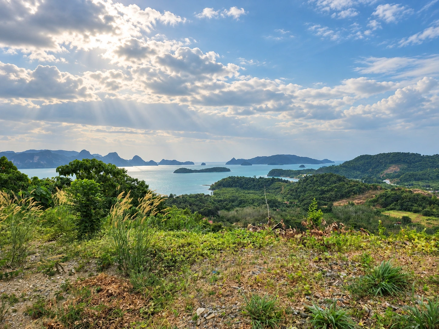 Hillside ground overlooking the islands